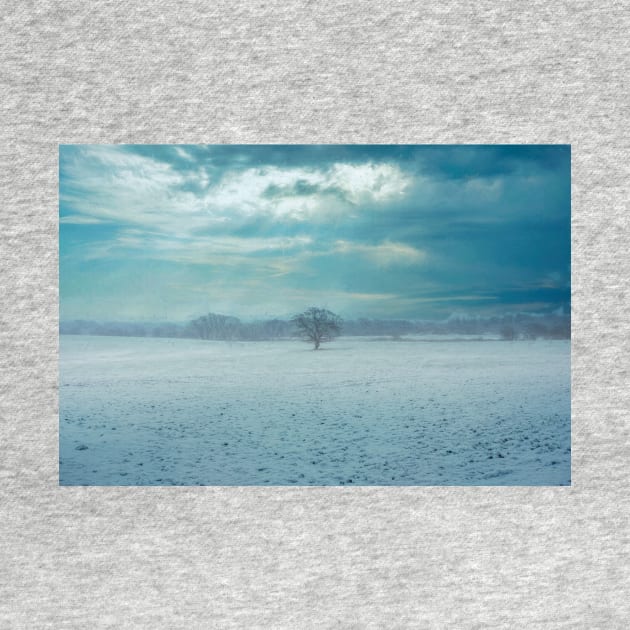 Tree in a foggy winter landscape - Art Print by stuartchard